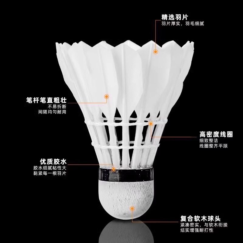 Lion Badminton Shuttlecock Goo - Feather Shuttlecock 评论和价格